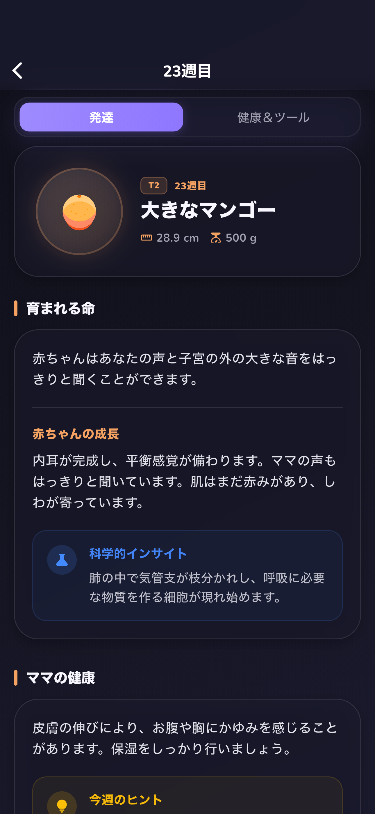 心臓の鼓動ひとつひとつに宿る魔法を体験しましょう。