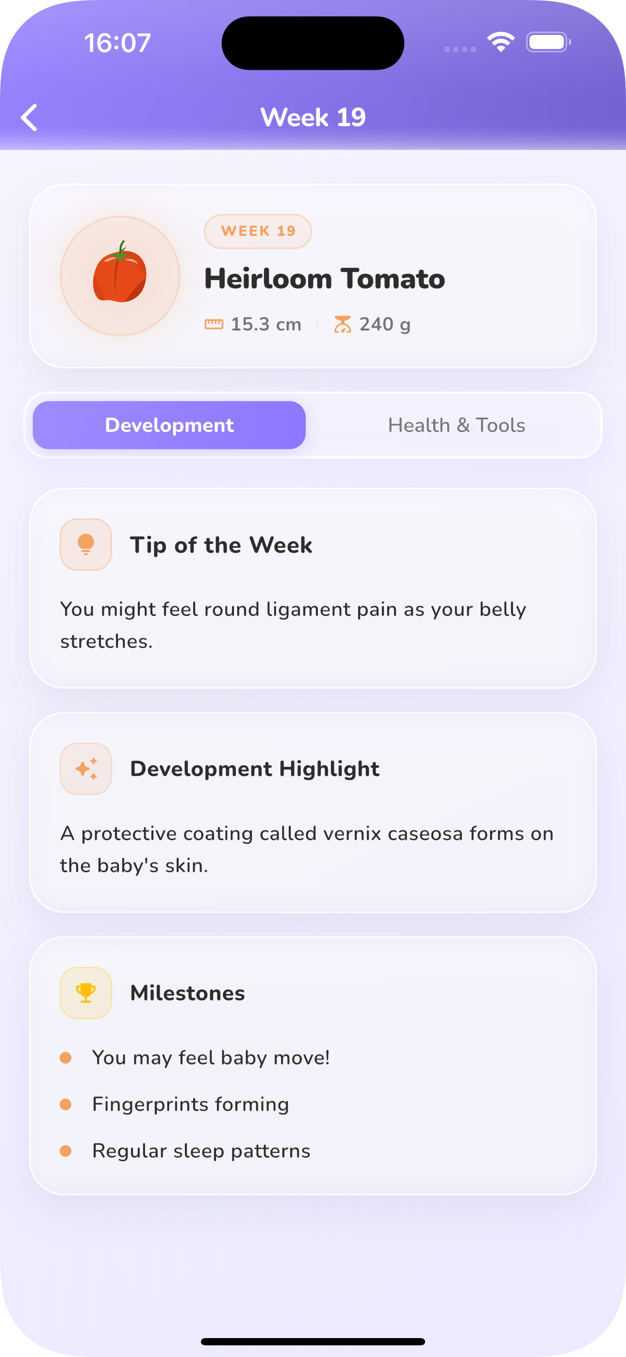 Fetal Development