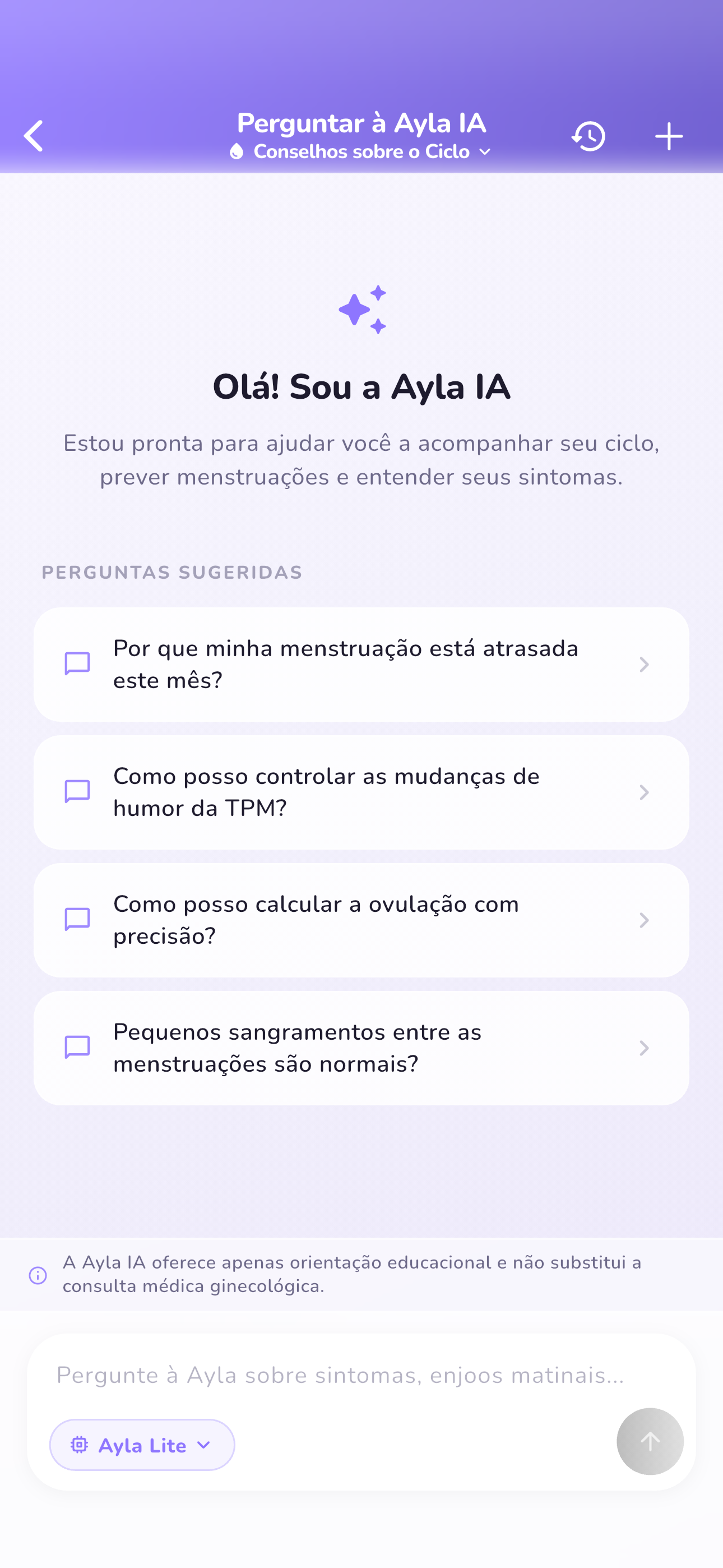 Companheiro IA Pessoal
