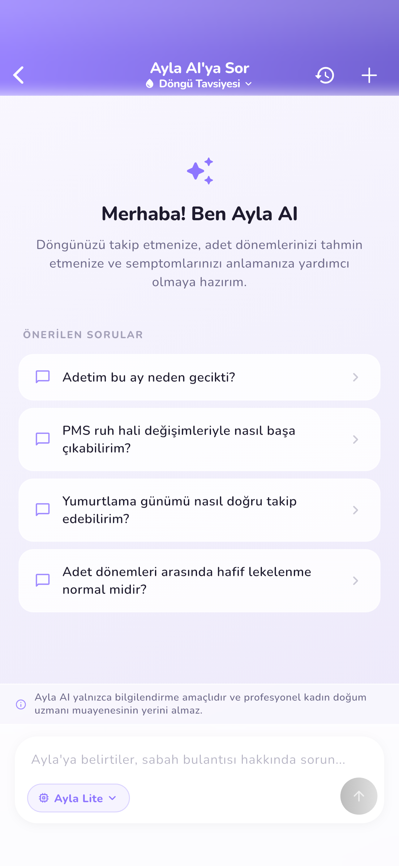 Kişisel Yapay Zeka Rehberi